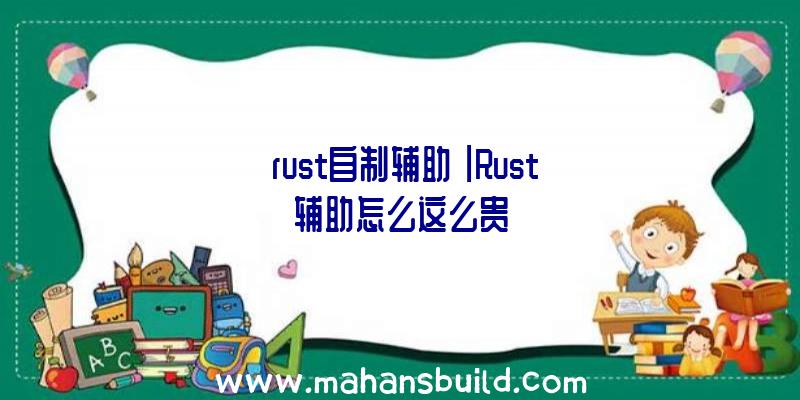 「rust自制辅助」|Rust辅助怎么这么贵